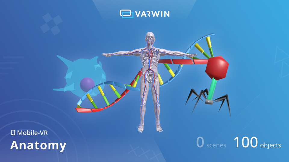 Анатомия в VR